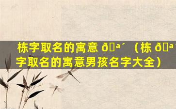 栋字取名的寓意 🪴 （栋 🪴 字取名的寓意男孩名字大全）